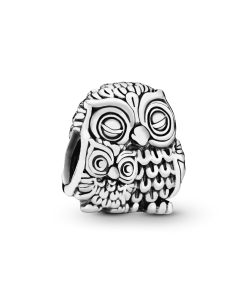 Owl family silver charm