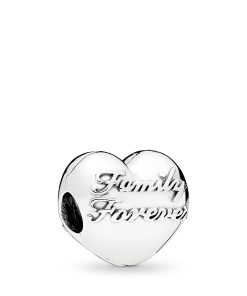 Family Forever silver heart clip