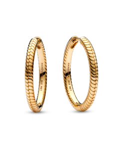 Pandora Moments Charm Hoop Earrings