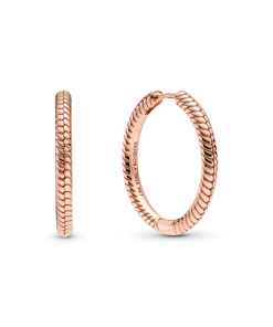 Pandora Moments Charm Hoop Earrings