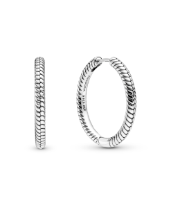 Pandora Moments Charm Hoop Earrings
