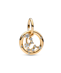 Aquarius Zodiac Dangle Charm
