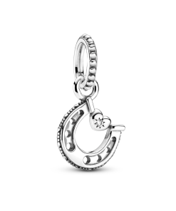 Good Luck Horseshoe Dangle Charm